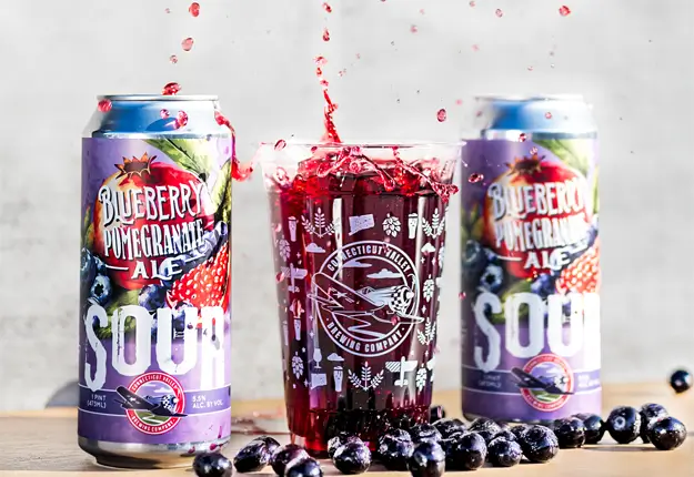 Blueberry Pomegranate Ale