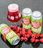 Raspberry Dream Sour Ale