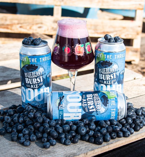 Blueberry Burst Sour Ale