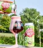 Raspberry Dream Sour Ale