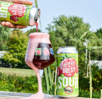 Raspberry Dream Sour Ale