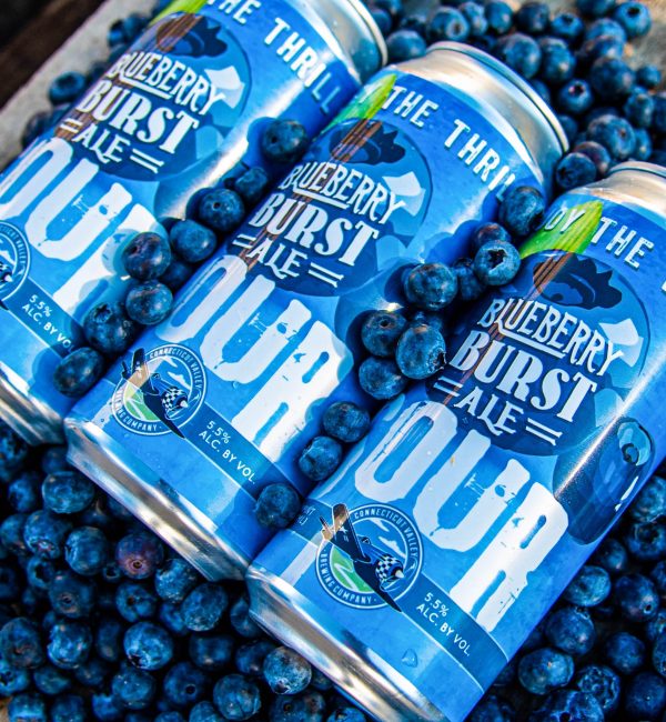 Blueberry Burst Sour Ale