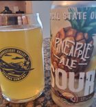 Pineapple Ale Sour