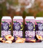 Plum Crazy Sour Ale