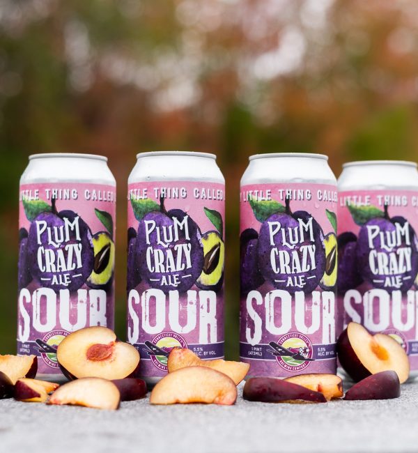 Plum Crazy Sour Ale