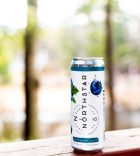 Northstar Seltzer – Blueberry Acai