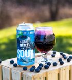 Blueberry Burst Sour Ale