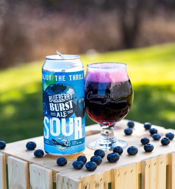 Blueberry Burst Sour Ale