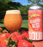 Strawberry Bliss Sour Ale