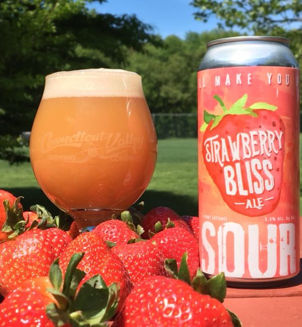 Strawberry Bliss Sour Ale