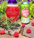 Raspberry Dream Sour Ale