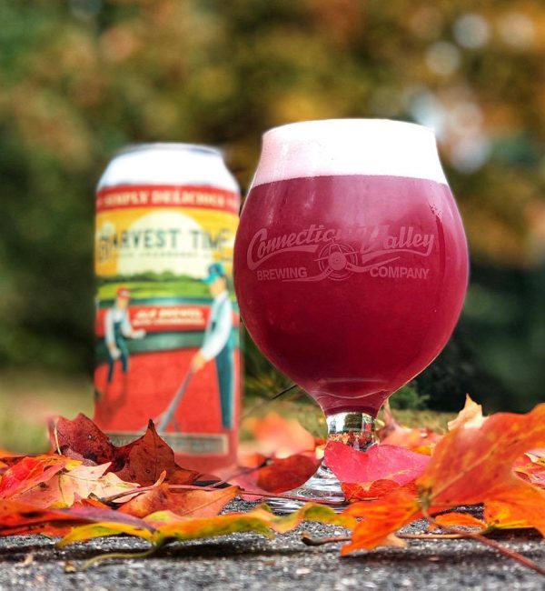 Harvest Time Sour Cranberry Ale