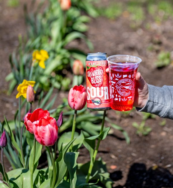 Strawberry Bliss Sour Ale