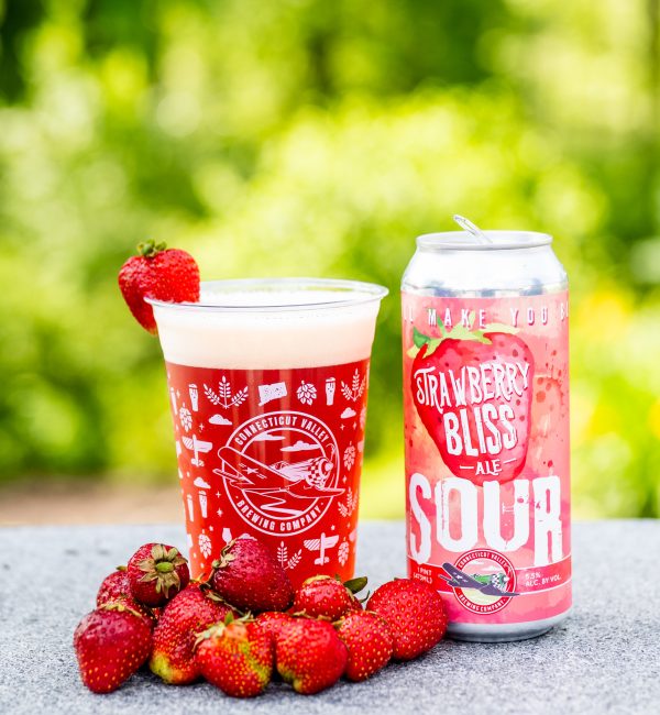 Strawberry Bliss Sour Ale