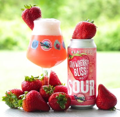 Strawberry Bliss Sour Ale