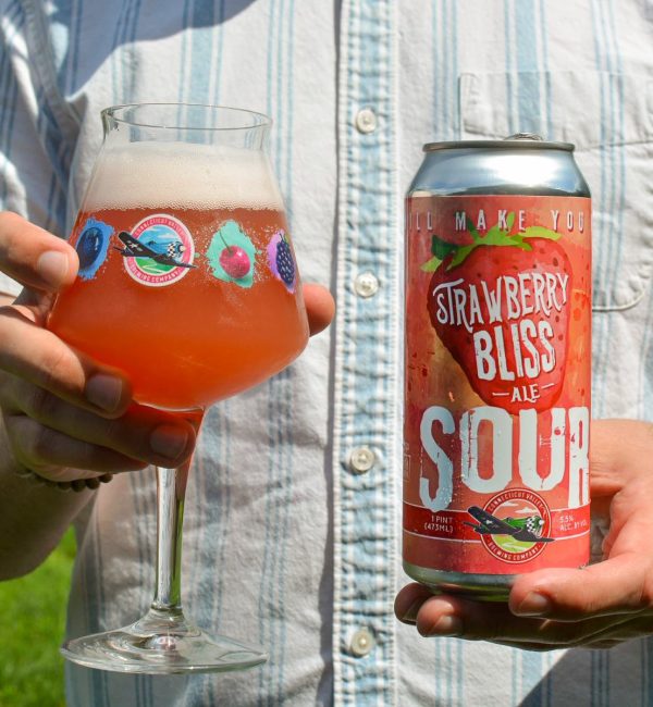 Strawberry Bliss Sour Ale