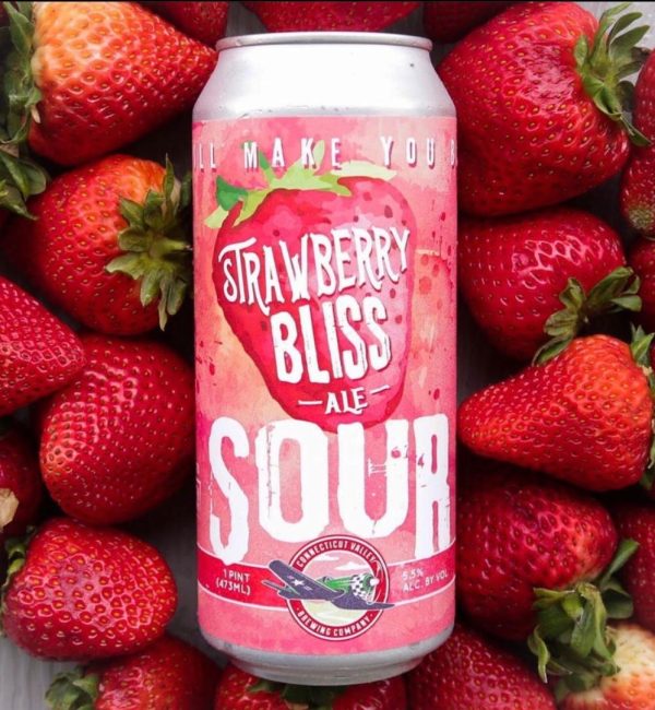 Strawberry Bliss Sour Ale