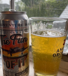 The Fun Of It Berliner Weisse Style Ale