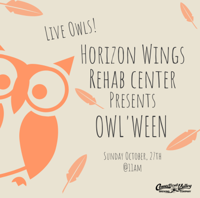 Owl’ween (10-27-24)