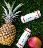 Northstar Tropical Spiked Seltzer